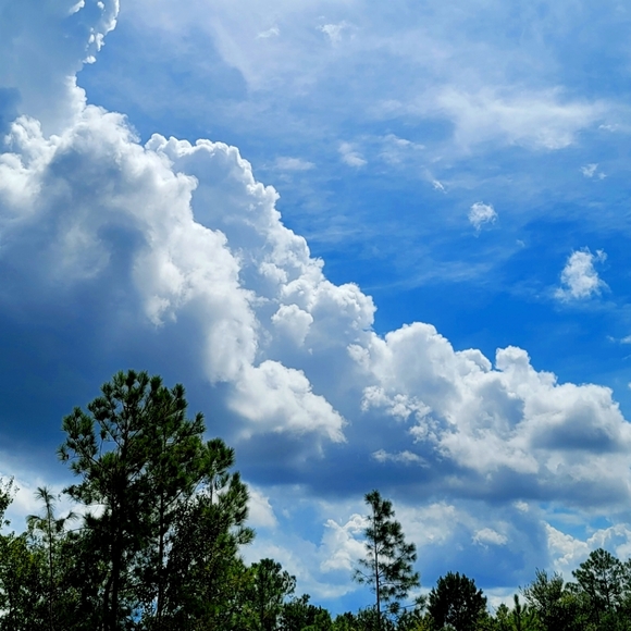 Meet your Posher, Melissa - Picture 1 of 1